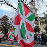 flags in parade