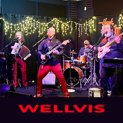 Wellvis on stage
